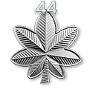 BF3 rank 44